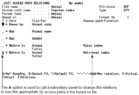 Changing a Referenced Access Path (4)