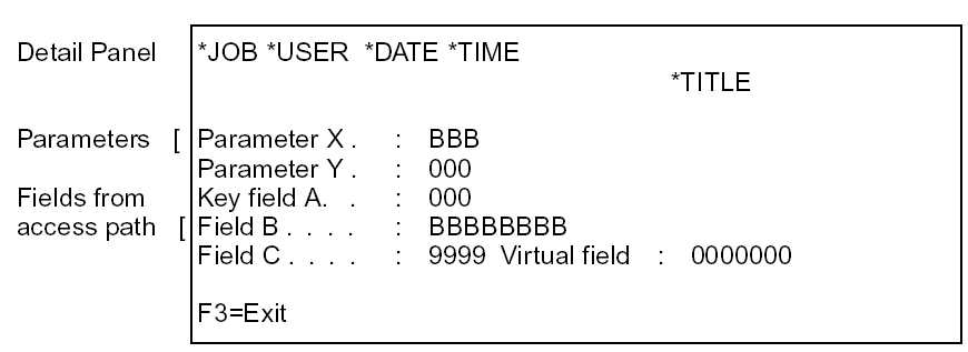 Default Layout of a Single-Record Panel Design (2)