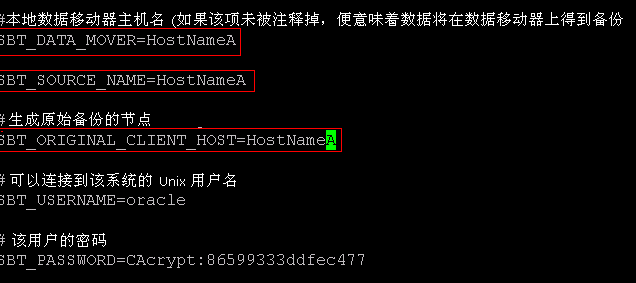 sbt.cfg 配置文件：为以下属性指定 HostNameA：SBT_DATA_MOVER 和 SBT_ORIGINAL_CLIENT_HOST。