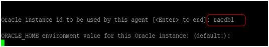 Orasetup 命令：指定 Oracle 实例的名称。