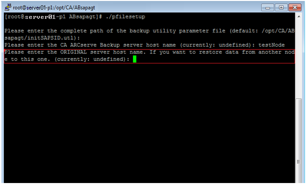 命令提示符: pfilesetup 正在运行。 指定提交备份的服务器的主机名。