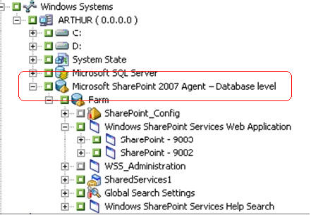 备份管理器显示 SharePoint 2007 数据。