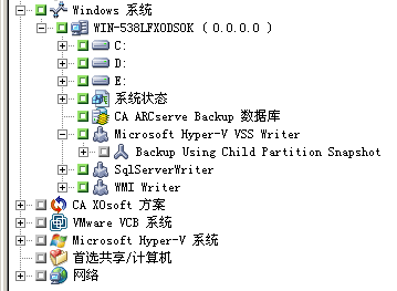 备份管理器。 Microsoft Hyper-V VSS Writer 将展开。 显示要备份的卷。