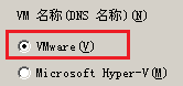在“恢复虚拟机”屏幕上指定 VMware 选项。