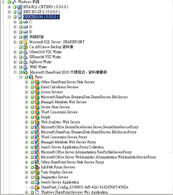 Server 2010 中的 SharePoint Farm