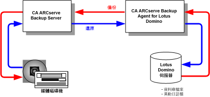 CA ARCserve Backup 和 Lotus Domino 之間的關係