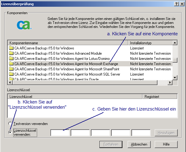 Dialogfeld "Lizenzüberprüfung"