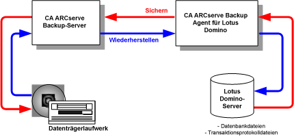 Beziehung zwischen CA ARCserve Backup und Lotus Domino