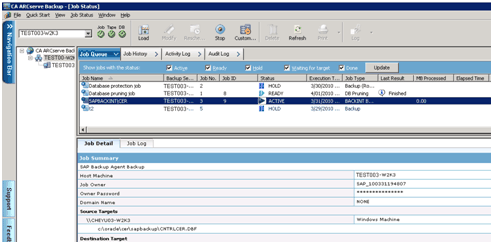BACKINT Job Status in progress