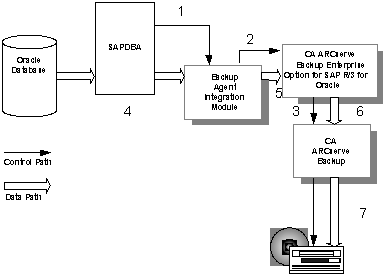 SAP_DBA_Backup Diagram