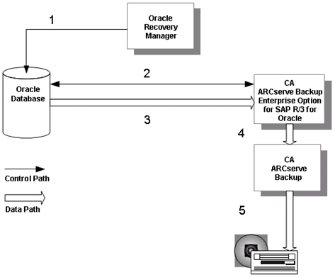 Oracle_RMAN_Backup Diagram