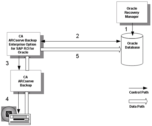 Oracle_RMAN_Restore Diagram