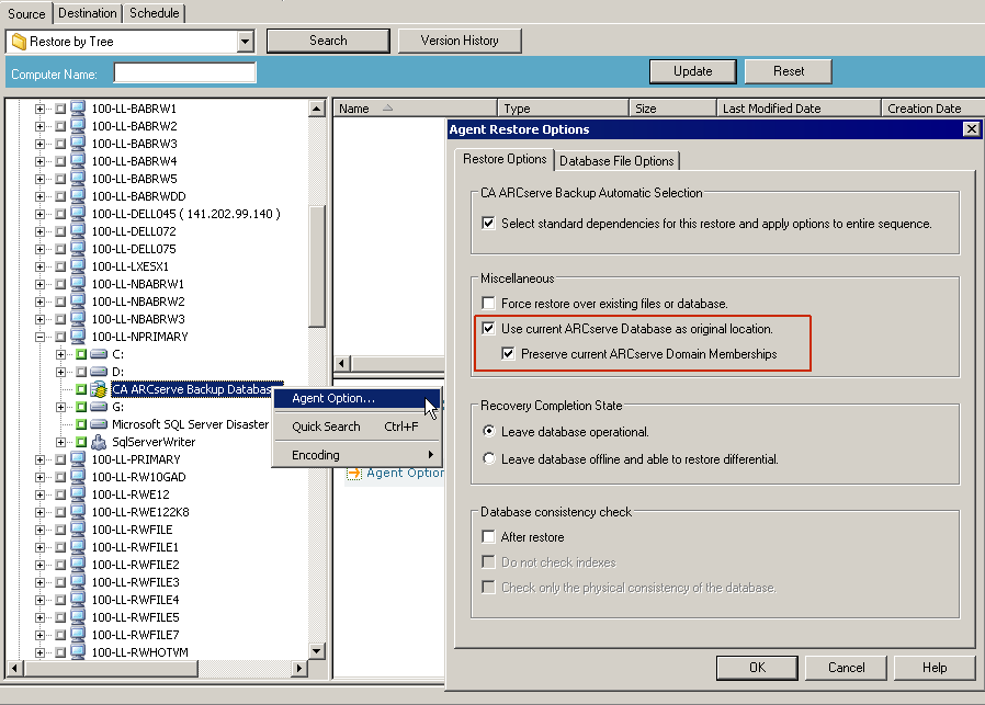 Restore Manager - Restore Agent Options Dialog
