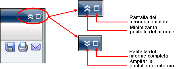Vista de informe ampliada y contraída