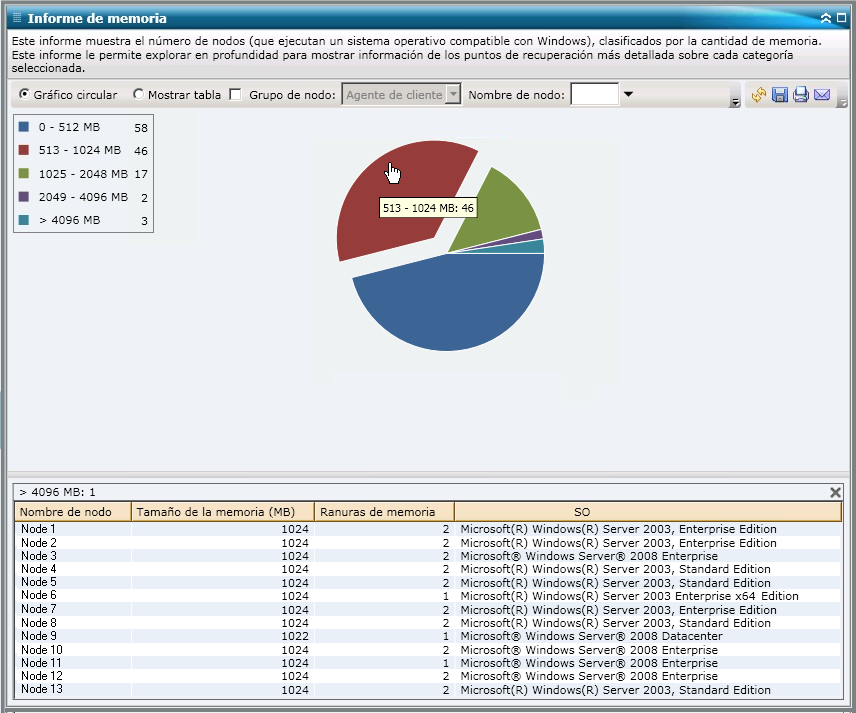 Informe de memoria: gráfico circular detallado