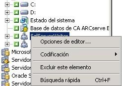 Haga clic con el botón secundario el Editor en el árbol Origen y seleccione las Opciones de editor.