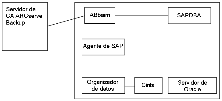 SAP Backup