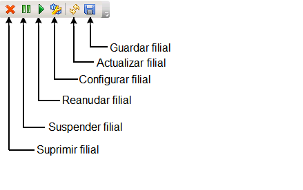 Iconos del gestor de filiales
