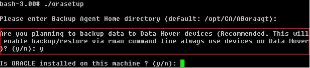 Comando de Orasetup: realice una copia de seguridad de los datos en el servidor de organizador de datos local.