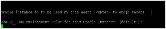 Comando de Orasetup: especifique el nombre de la instancia de Oracle.