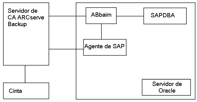 copia de seguridad remota de SAP