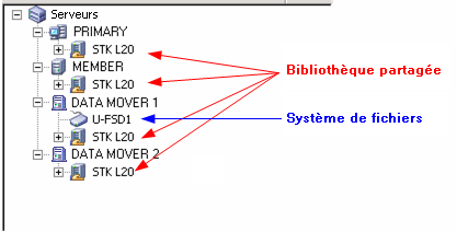Gestionnaire d'unités. L'arborescence du serveur contient des bibliothèques qui sont partagées et un moteur de transfert de données avec une unité du système de fichiers en pièce jointe.