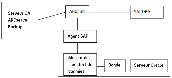SAP Backup