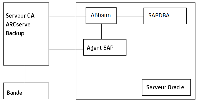 Sauvegarde à distance SAP