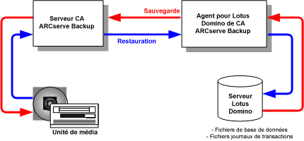 Relation entre CA ARCserve Backup et Lotus Domino