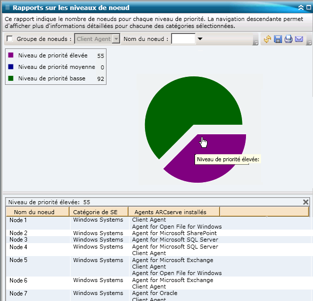 Rapport sur les niveaux de noeud : Graphique à secteurs détaillé