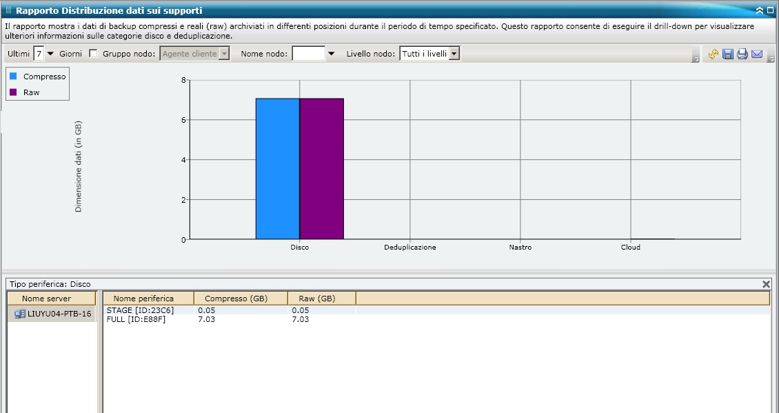 Rapporto Distribuzione dati sui supporti - Grafico a barre riepilogativo