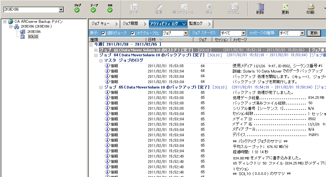 ジョブ ステータス マネージャ：  Data Mover サーバが選択され、［アクティビティ ログ］タブにジョブ詳細が含まれています。