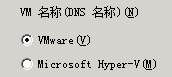 在“恢复虚拟机”屏幕上指定 VMware 选项。