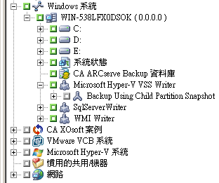 備份管理員。 Microsoft Hyper-V VSS 編寫器會展開。 要備份的磁碟區會顯示。