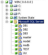 將上層 Microsoft SQL Server 標示為動態工作封裝時，也會標示所有子系