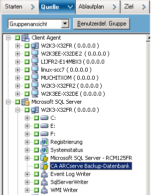 Registerkarte "Quelle" des Sicherungs-Managers. Der CA ARCserve Backup-Datenbank wird aus der Quelle ausgeschlossen.