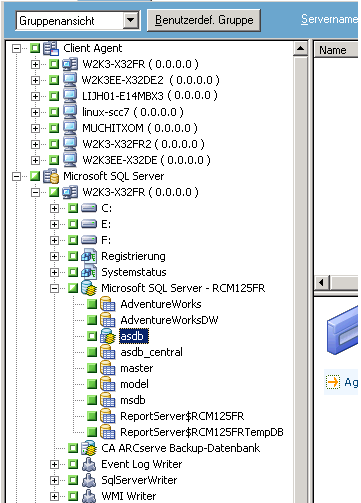 Registerkarte "Quelle" des Sicherungs-Managers. Der CA ARCserve Backup-Datenbank wird aus der Quelle ausgeschlossen.