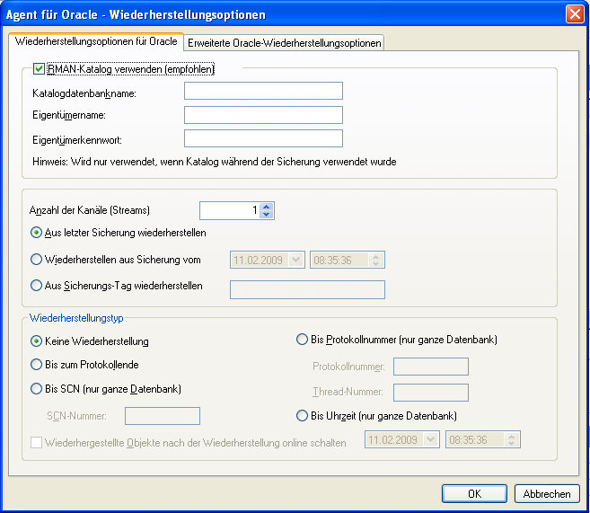 Dialogfeld "Agent für Oracle - Wiederherstellungsoptionen"
