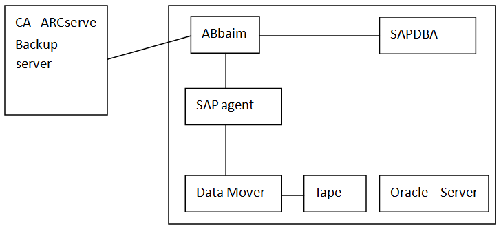 SAP Backup
