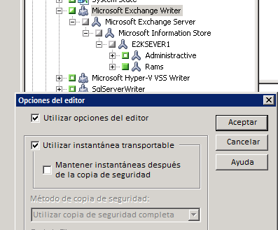 Cuadro de diálogo Opciones de editor. Se especifican las opciones Utilizar opciones de editor y Utilizar instantánea transportable.