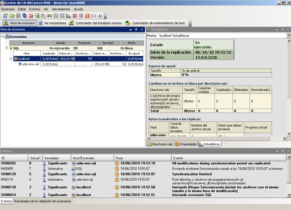 Ventana Descripción general del gestor de RHA