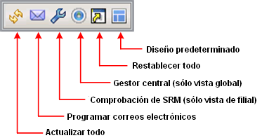 Iconos de opción global
