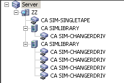 Illustrazione: in Gestione periferiche sono visualizzati i server ARCserve con le librerie.