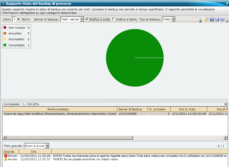 Rapporto Stato del backup di processo - Grafico Torta della torta