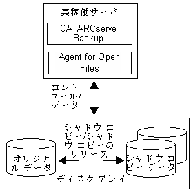サポートされる Client for VSS Software Snap-Shot のローカル設定。