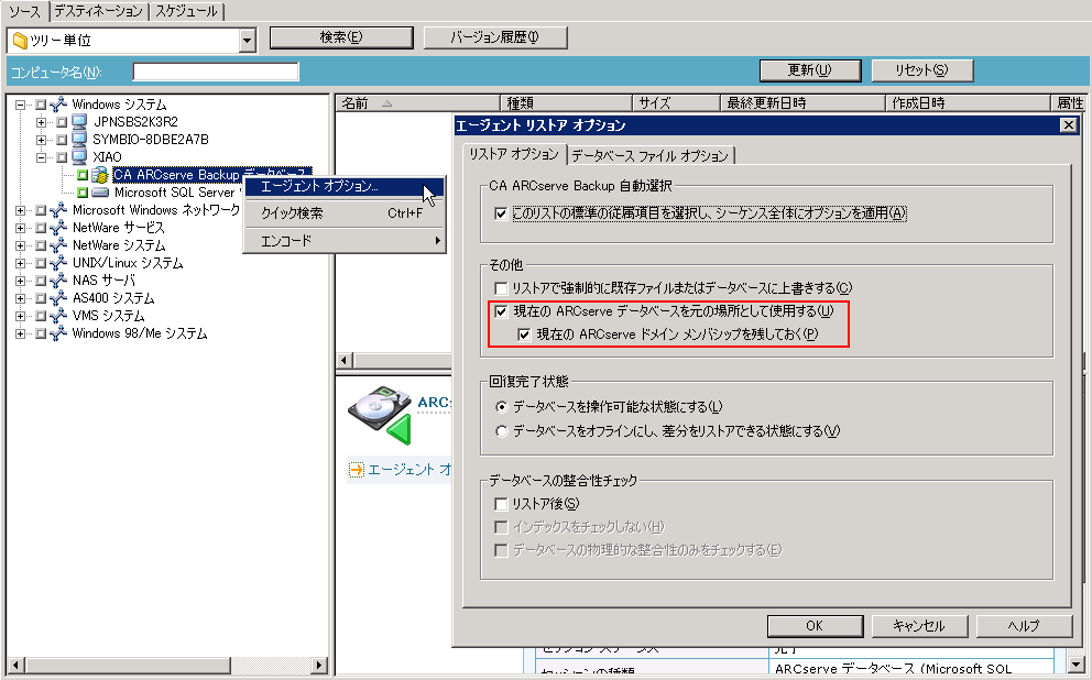 リストア マネージャ - ［Restore Agent Options］ダイアログ ボックス