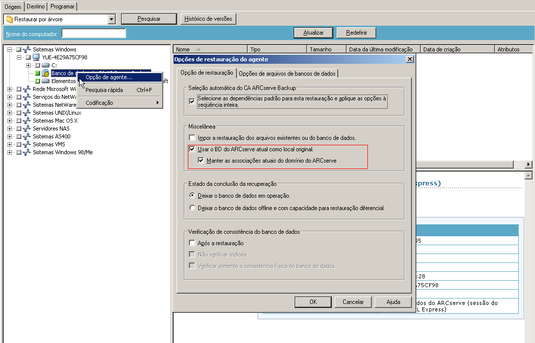 Gerenciador de restauração - caixa de diálogo Opções de restauração do agente