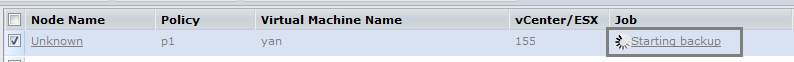 Host-Based VM Backup Job in-progress