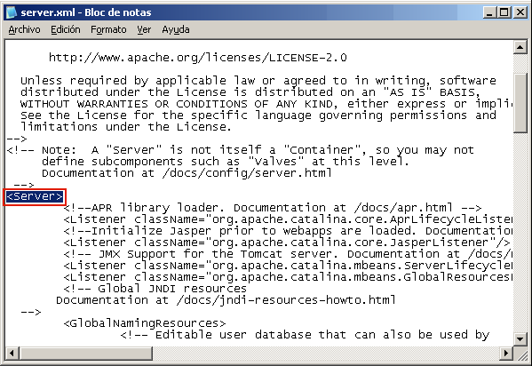 Archivo Server.xml. El campo <server> aparece resaltado.