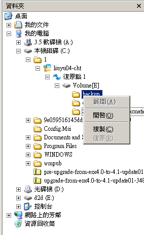 還原 D2D 檢視 - 還原檔案/資料夾